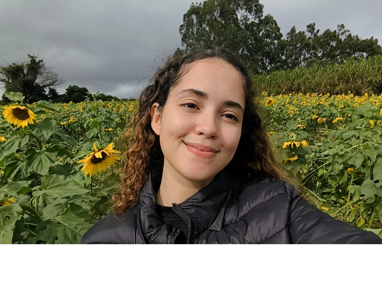 Foto de AILA RIBEIRO, aprovada(o) na UEM