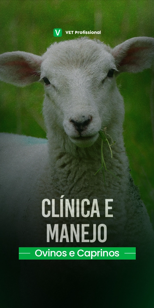 Clínica e manejo de ovinos e caprinos