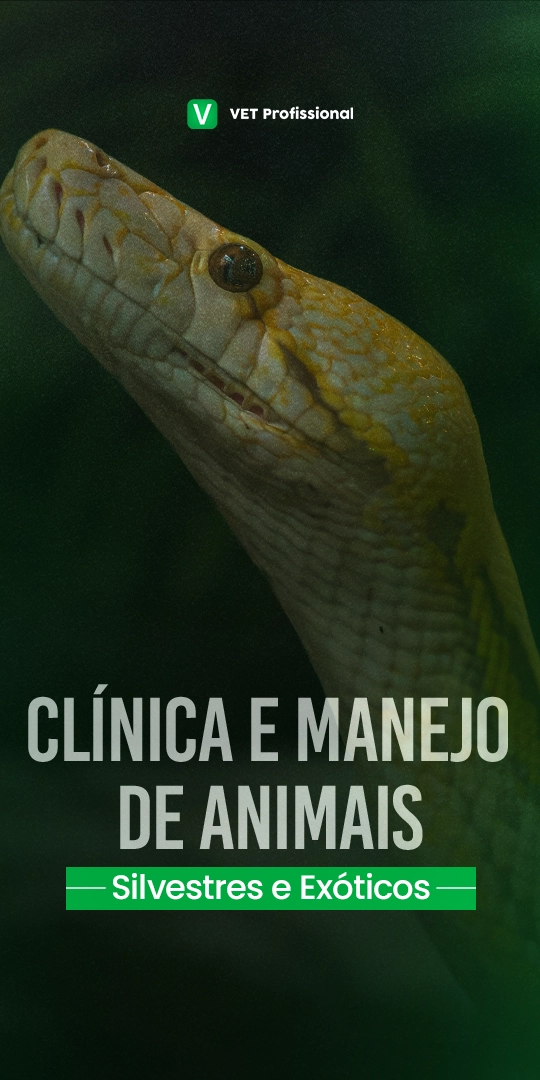 Clínica e manejo de animais silvestres e exóticos