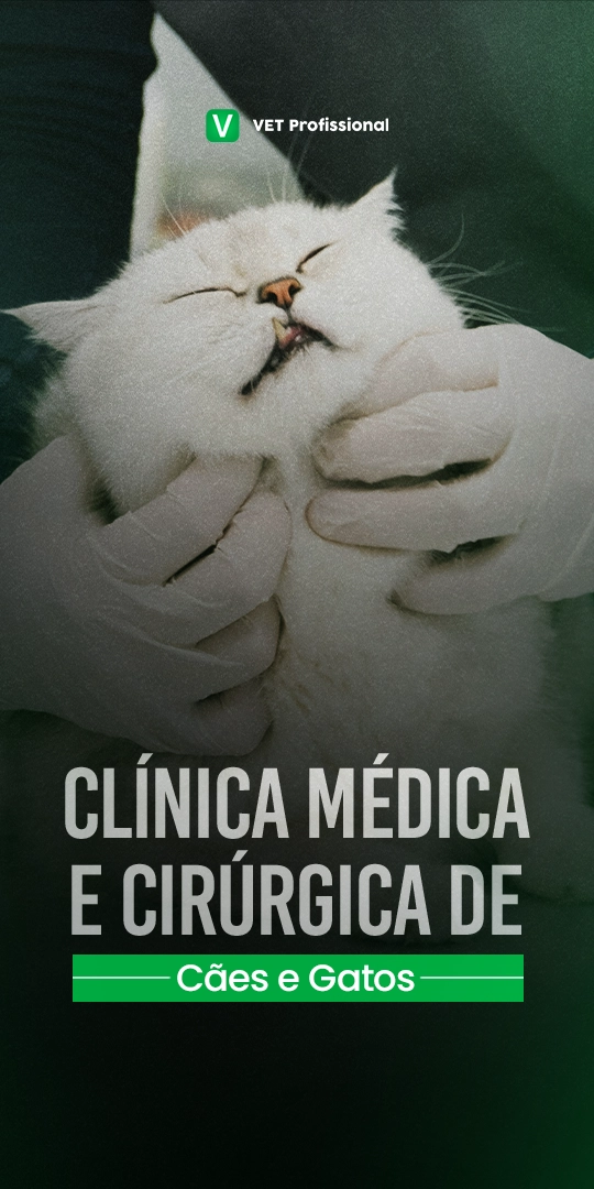 Clínica médica e cirúrgica de cães e gatos