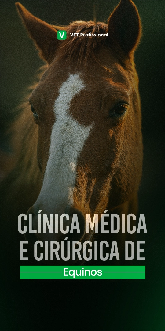 Clínica médica e cirúrgica de equinos