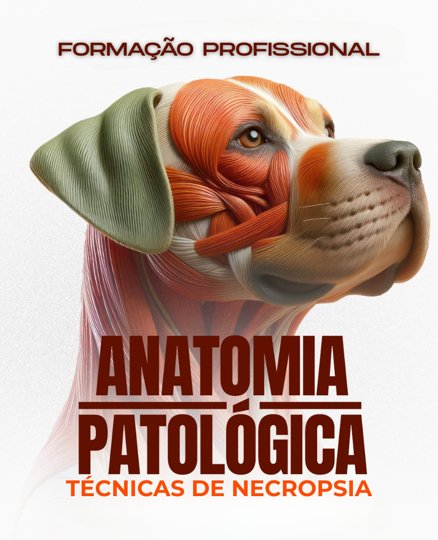 Curso de formação profissional