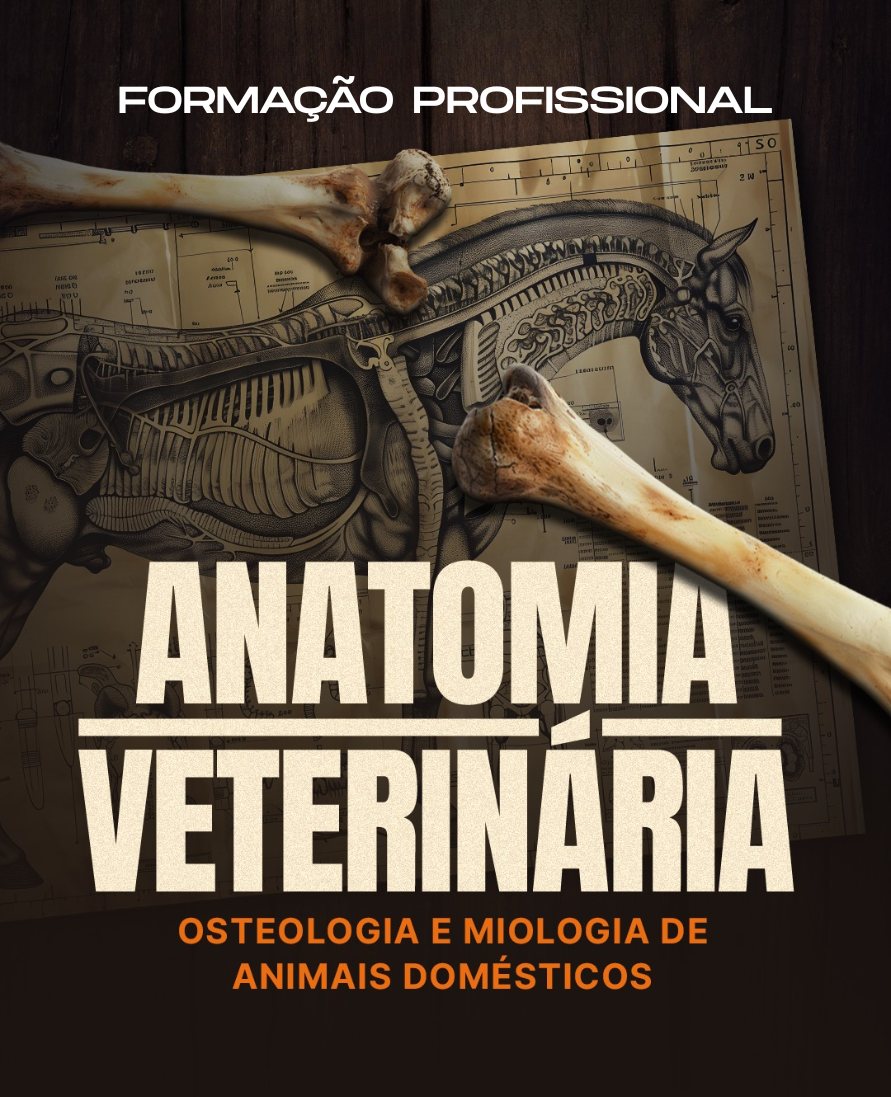 Curso de formação profissional