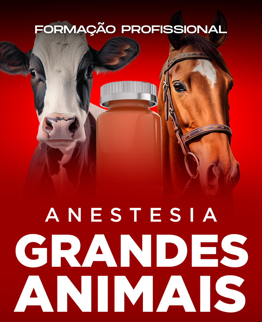 Curso de formação profissional