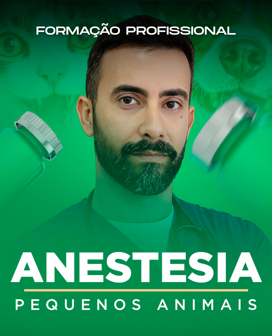 Curso de formação profissional