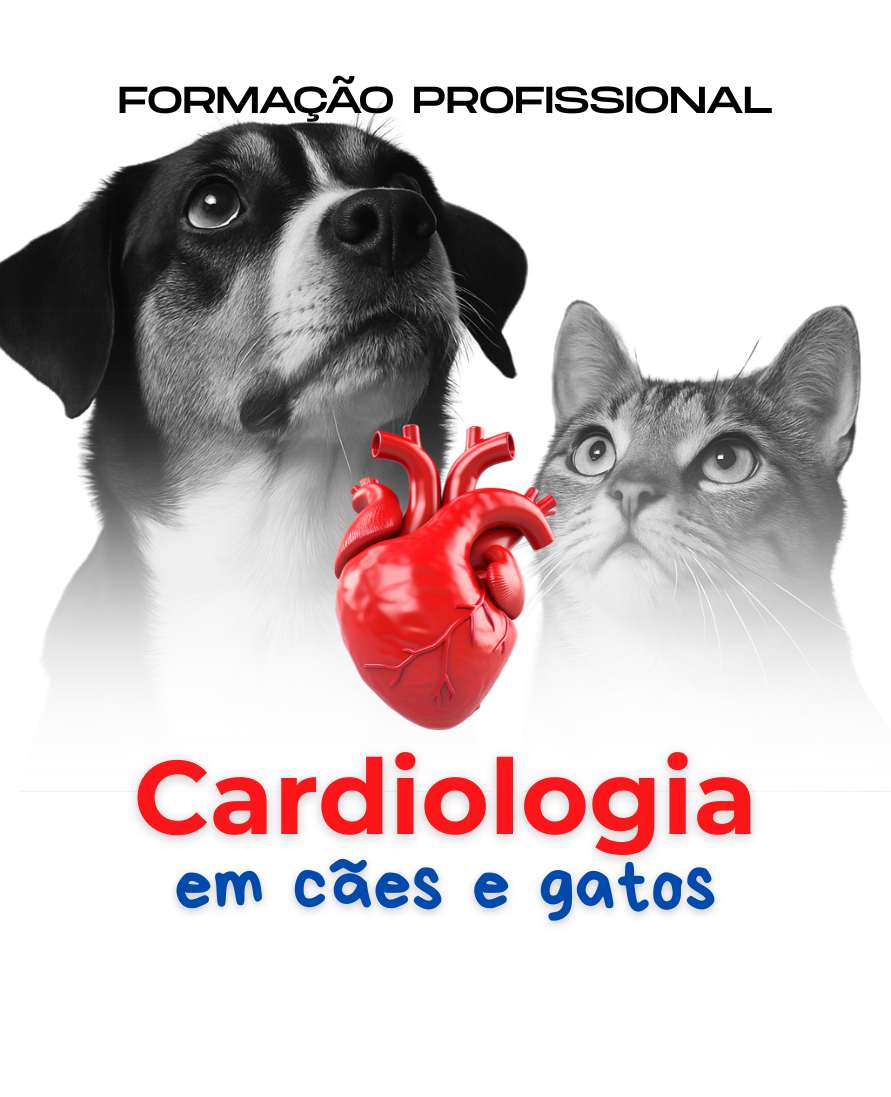 Curso de formação profissional
