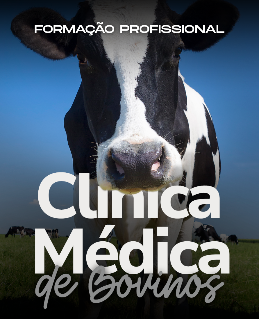 Curso de formação profissional
