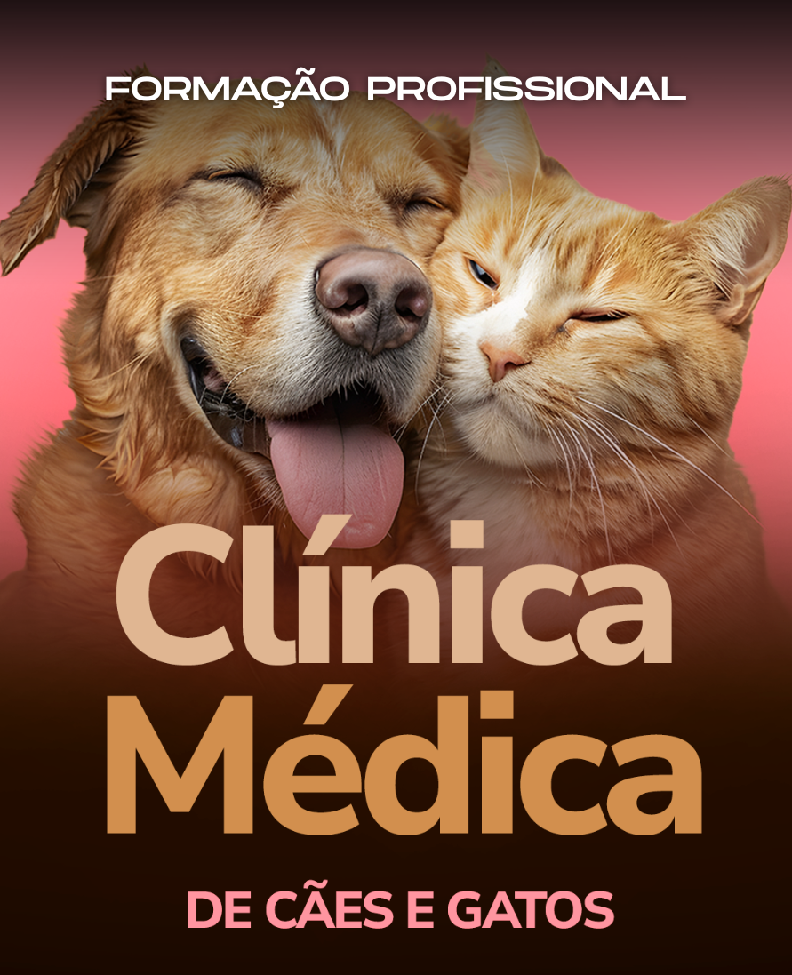 Curso de formação profissional
