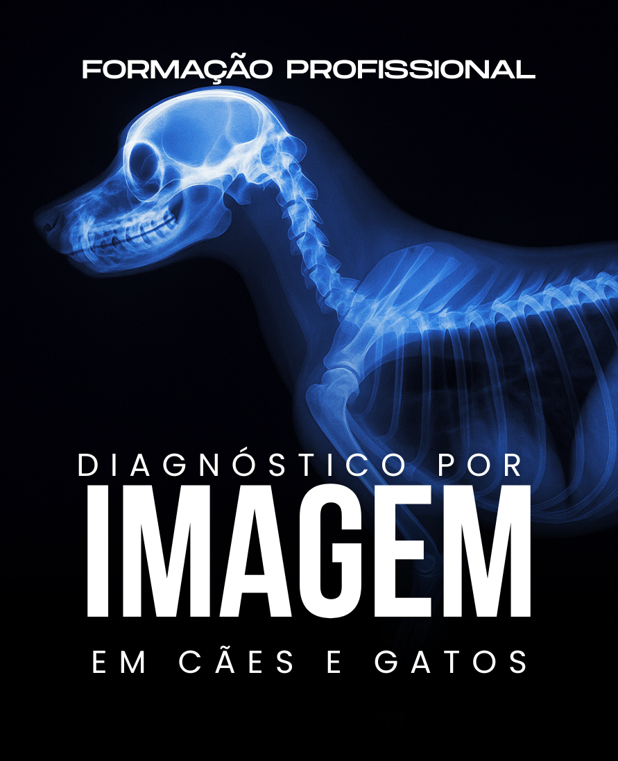 Curso de formação profissional
