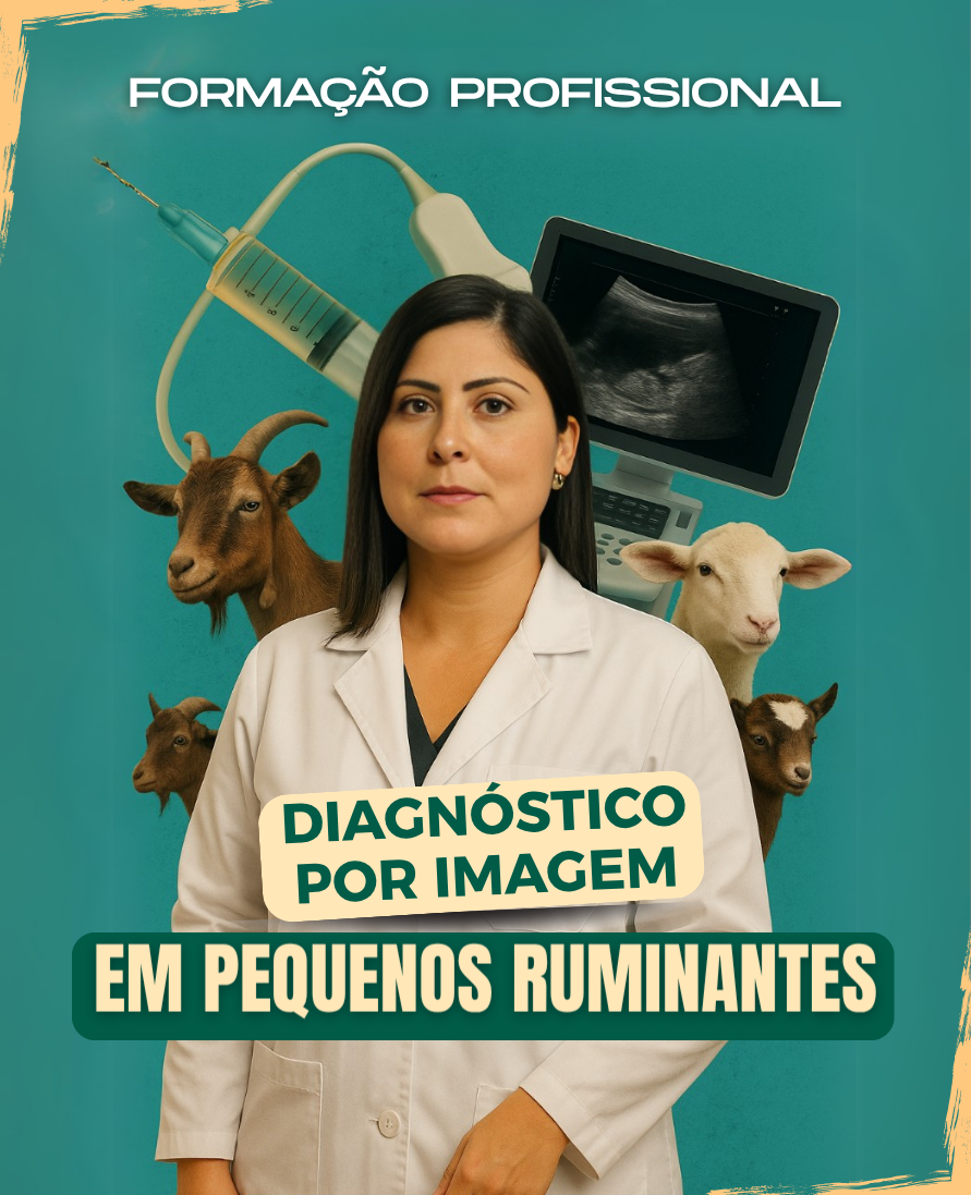 Curso de formação profissional