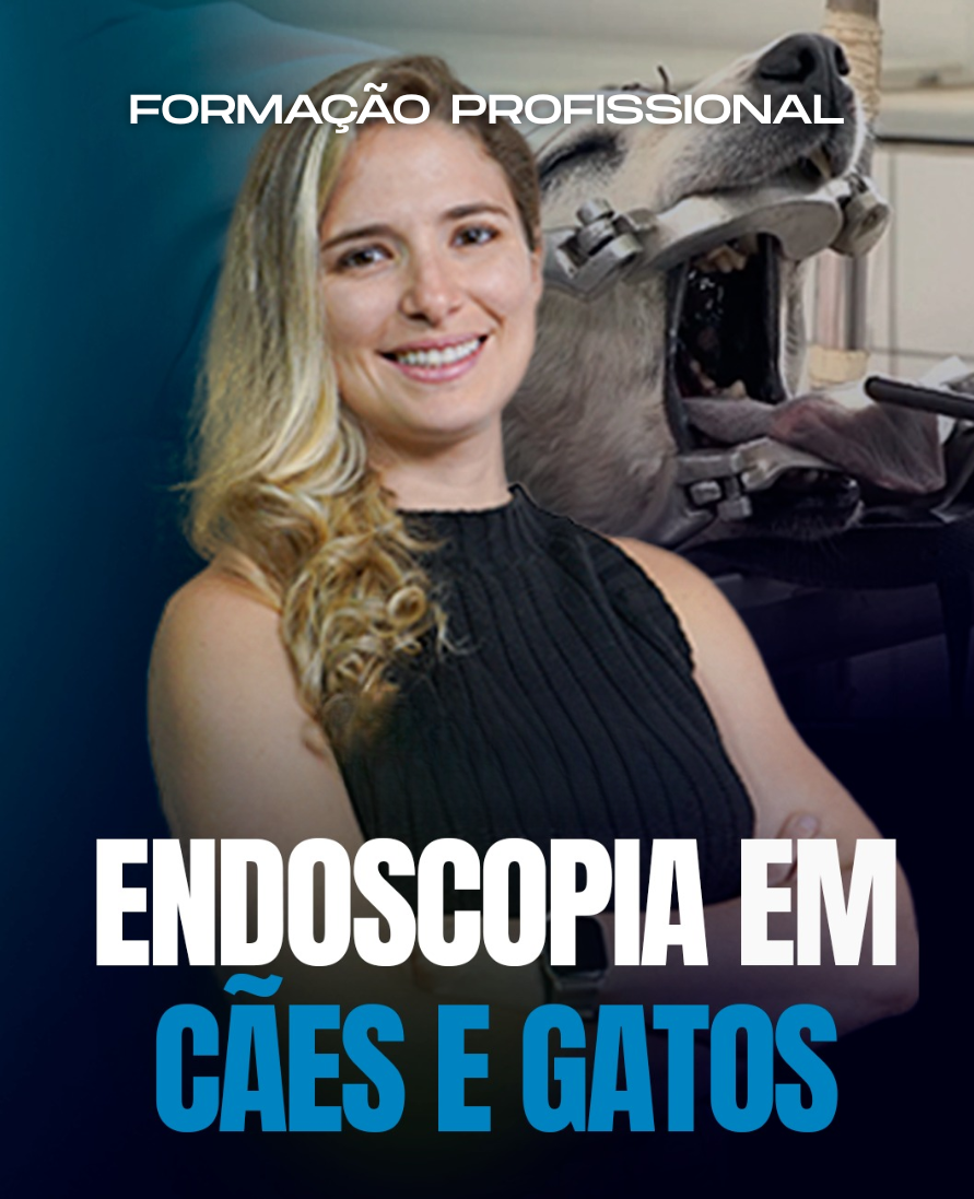 Curso de formação profissional