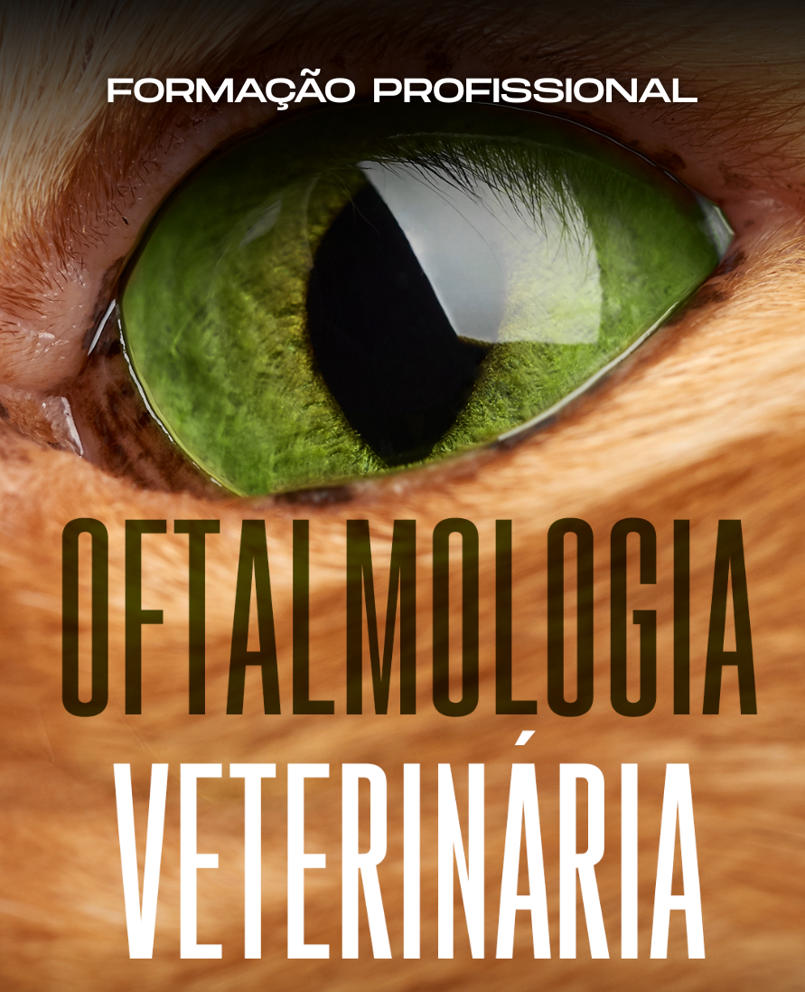 Curso de formação profissional