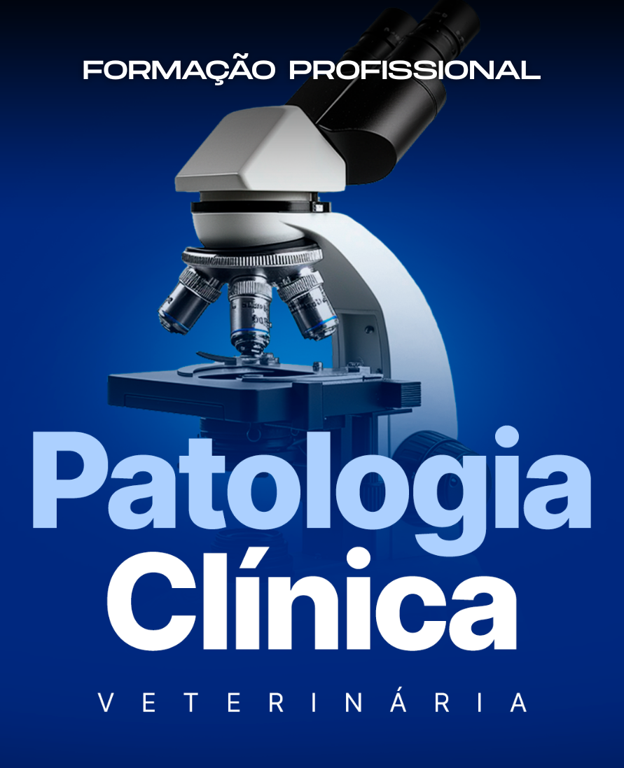 Curso de formação profissional