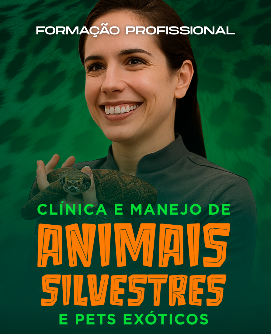 Curso de formação profissional