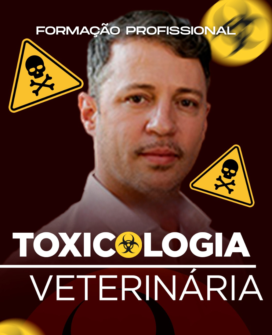 Curso de formação profissional